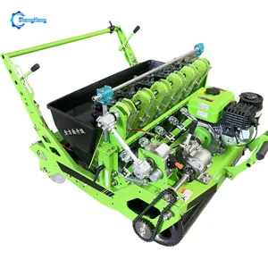 Garlic Sorting Machine Garlic Cracking Machine Garlic Splitting and Sorting Machine Automatic Garlic Separator Garlic Planting Machine