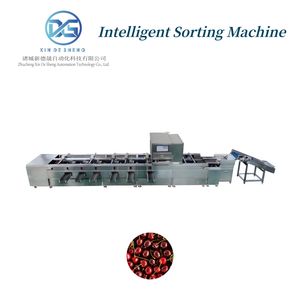 Automatic Date Inspection Machine, Color and Size Sorting Machine