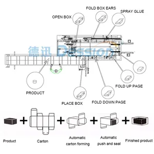 Automatic Boxing Making Multi Functional Case Packsging Machine