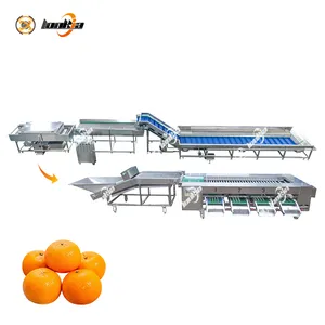 Factory Price Vegetable Grading Machine Fruit Sorting Machine Avocado Washing Sorting Drying Line