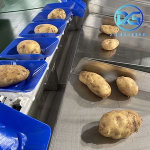 Potato Optical Sorter Multi-Function Sorting by Defects, Shape & Color