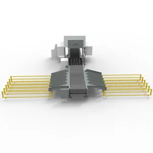 Jaytom China Factory Customize Barcode Automatic Dynamic Dws Logistics Parcel Weighing System Dynamic Sorting Machine