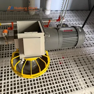 Comprehensive Poultry Farm Automatic Feeding Line System
