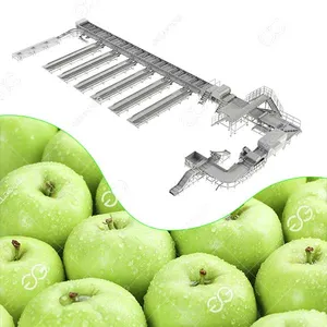 Apple Internal Defect Sorting System with Computer Vision