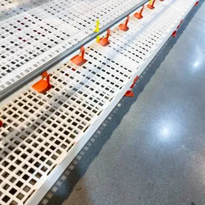 Poultry Equipment Innovative Fully Automatic Poultry Drinking Water Line System