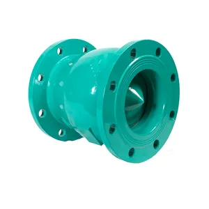 Professional Dynamic Flow-Guiding Check Valve for Engineering Project Find Standard Valve Model