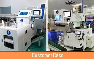 CCD Automatic Spring Thimble Fastener Visual Counting Packaging Machine
