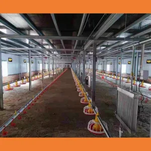 Poultry Farm Machinery for Fully Automatic Feeding System