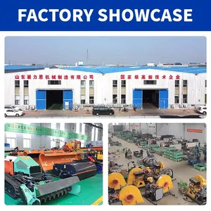 Automated Multi-Point Bridge Hydraulic Synchronous Lifting Jack System