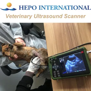 Large Animals Handheld Veterinary Digital Ultrasound Scanner Machine