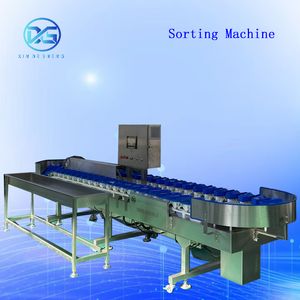 Precision Seafood Classifying Machine with Vision System