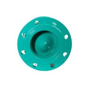 Professional Dynamic Flow-Guiding Check Valve for Engineering Project Find Standard Valve Model