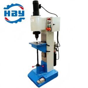 Compact Full-Automatic Programmable Logic Control Rivet Ing Machine