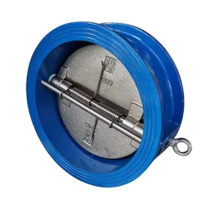 4 Inch Pn16 Cast Iron Spring Non Return Wafer Check Valve for Water