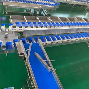 Automatic Whole Chicken Processing Line – Integrated Slaughter, Cutting & Grading System