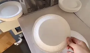 Disposable Tableware Paper Plate Dish Making Machine Factory Direct Sale