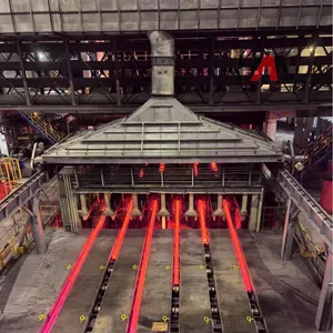 Low Efficiency Billet Continuous Casting Machine for Entry Level Steel Making with Basic Function