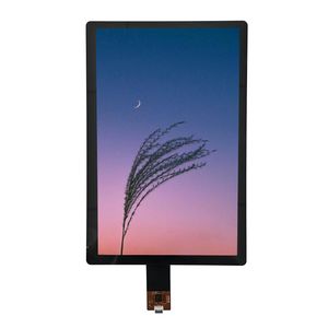 Zippy Sensitive Multi-Point 8-Inch 800X1280 Display Module for Display Modules