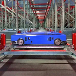 Cold Storage Radio Shuttle Pallet Rack System for High-Density Warehouse Rack Solutions