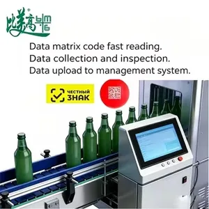 Central Asia Beverage Production Line Fiber Laser Marking Machine with Vision Inspection System Data Matrix 1c System Data Upload Trace Control