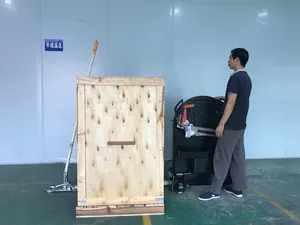 Tp-800 Automatic Pallet Strapping Feeding Machine System