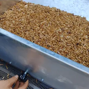 Best Price Fully Automatic Mealworm Beetle Sorting Machine&Insects Size Selecting Machine