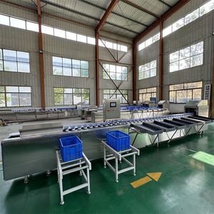 Electronic Fruit Sorting Machine, Computer-Controlled Grading Machine