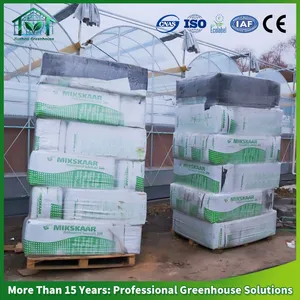 Turnkey Project Strawberry Greenhouse with Automatic Fertigation System