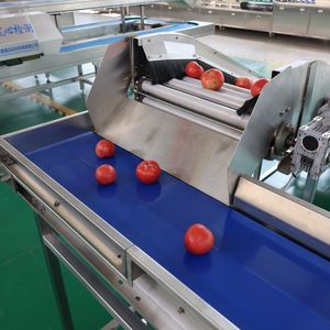 Apple Optical Grading Machine, Automatic Optical Weight Sorting Machine