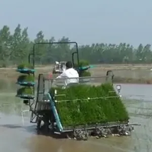Four Wheel Ride Paddy Seedling Rice Transplanter