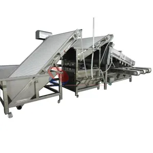 Lobster Machine Shrimp Grading Sorting Machine
