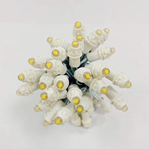 LED String 9mm DC12V Single Color Pixel LED Module Light IP68 Waterproof LED Pixel Light Wholesale