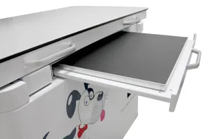 4 Way Floating Table Veterinary Digital Radiography System Mslvx40