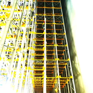 Automatic Warehouse Stacking Racks Shelves System Four Way Pallet Radio Shuttle Rack