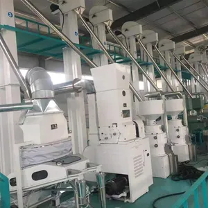 RM-Vx50 Automatic Rice Mill Machine by Vertex, Customized Specification