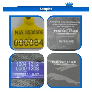 Computer Controlling Color Printing Fiber Laser Marking Machine Systems Cost