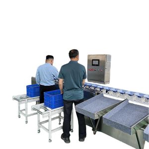Electronic Fruit Sorting Machine, Computer-Controlled Grading Machine