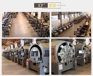 Small Spring Forming Machine for Hose Shape Animal Shape Color Paper Clip
