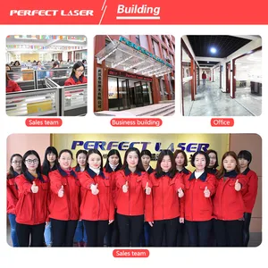CO2 Flying Laser Marking Machine System