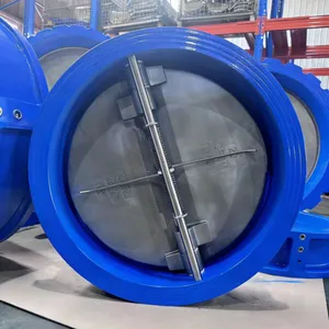 Long Life Custom Automatic Non-Return Check Valve for Steam System