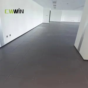 Hot Sale Cheap Data Center Static Control Raised Flooring Tile System