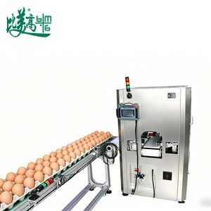 Packaging Visual Inspection Machine for Egg Carton Surface Defect Checking Date Code Verification Label Inspection Egg Quantity Counting System Quality Control