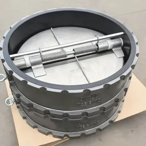 Vibration Resistant Customization Automatic Check Valve for Steam System