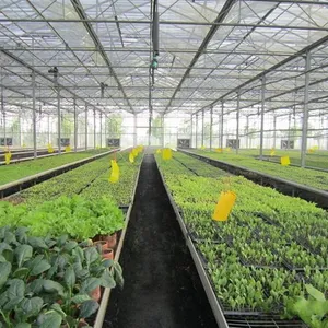 Grow Racks and Rolling Bench Flood Trays Cultivation Growing Rack Ebb Vertical Grow Rack System