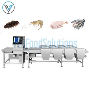 Automatic Weight Sorting Machine/Fruit Grading Sorting Machine/Shellfish Sorting Grading Machine for Selling
