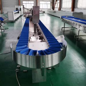 Precision Seafood Classifying Machine with Vision System