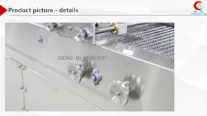 Vietnamese/Rice Paper Spring Roll Making Machine Manufacturer