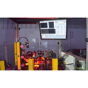 Customized Application Industrial Optical Automatic Sorting Inspection System