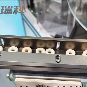 Advanced Rk 1500 Ceramic Gasket Inspection and Sorting System