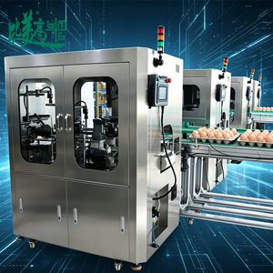 Packaging Visual Inspection Machine for Egg Carton Surface Defect Checking Date Code Verification Label Inspection Egg Quantity Counting System Quality Control